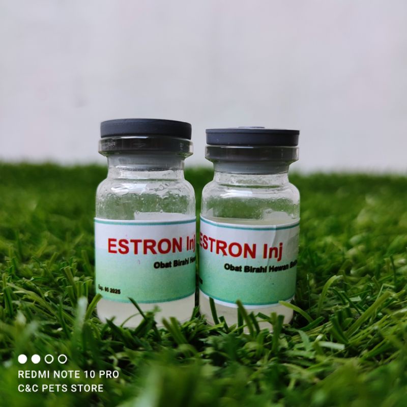 Jual Estron Injeksi 5 Ml Obat Birahi Untuk Hewan Peliharaan Betina