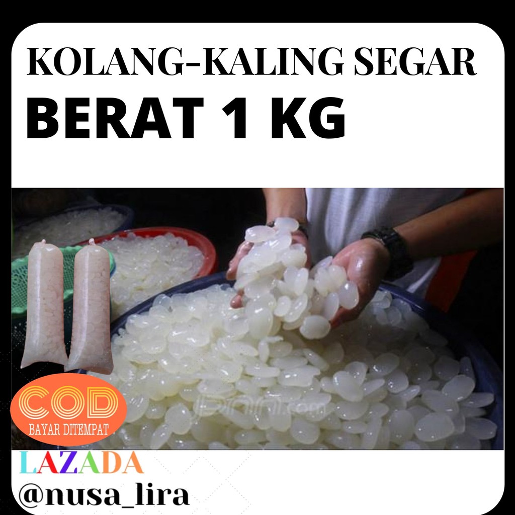 Jual Kolang Kaling Segar Asli Kolangkaling Segar Asli Kolang Kaling