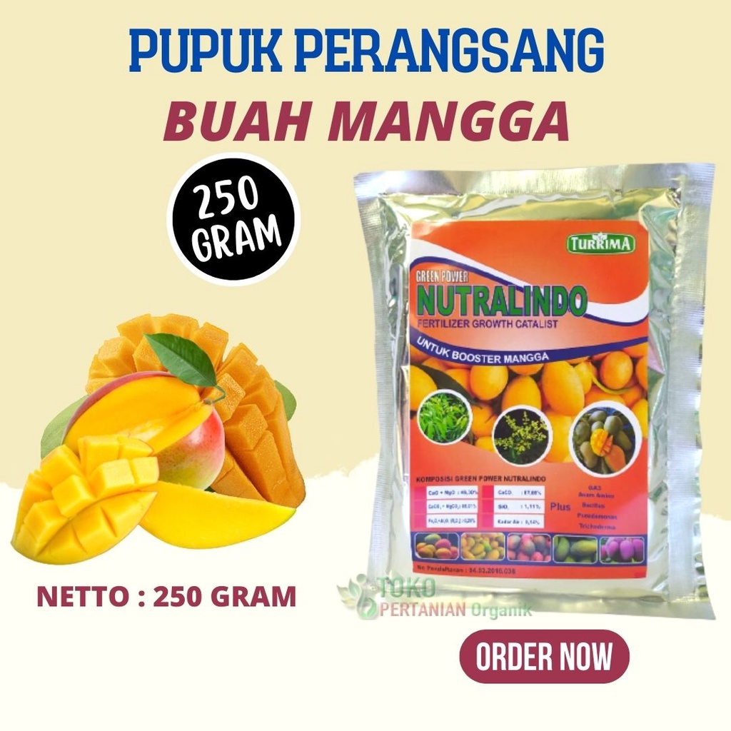 Jual Pupuk Mangga Agar Cepat Berbuah Pelebat Organik Mangga Booster