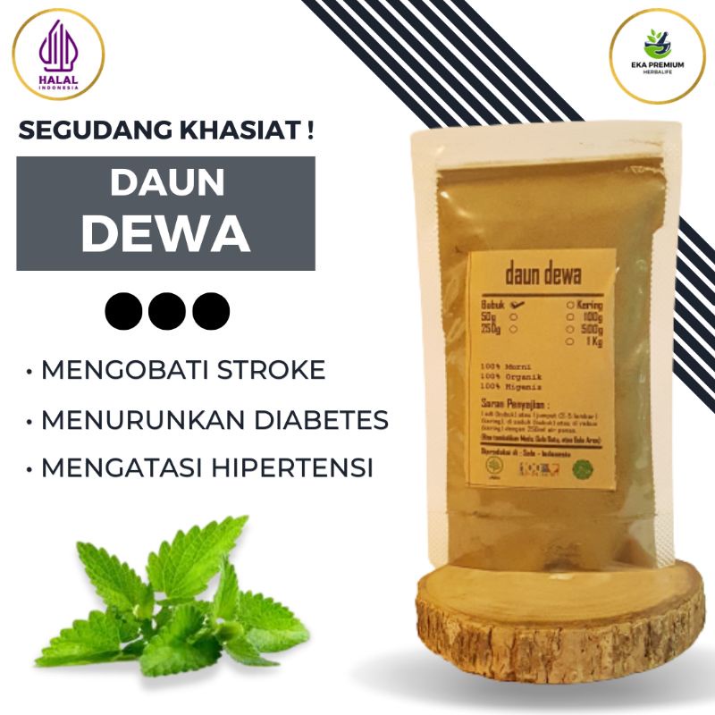 Jual Daun Dewa Bubuk Samsit Serbuk Kering Asli Organik Rempah Rempah