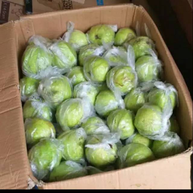 Jual Jambu Kristal 1 Kg Shopee Indonesia