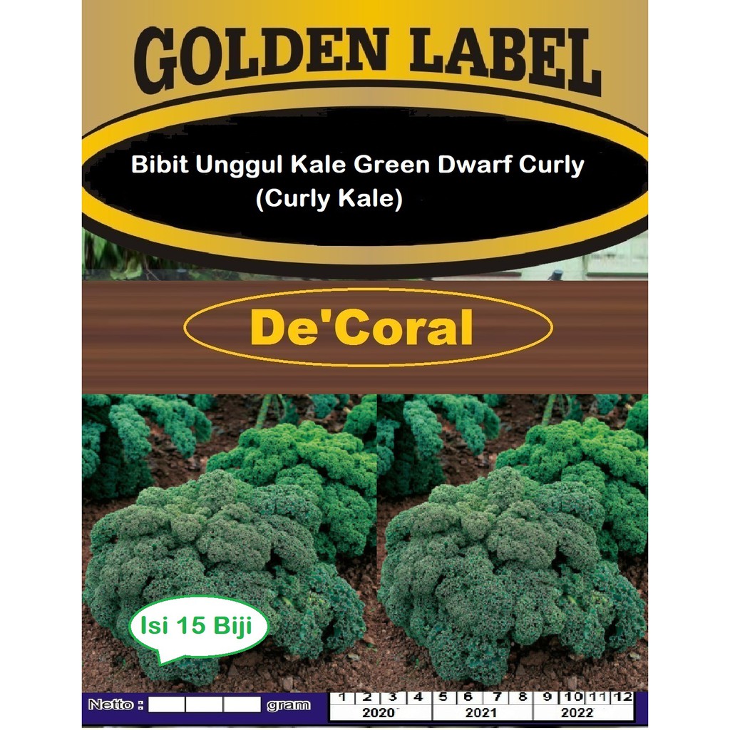 Jual Bibit Unggul Kale Green Dwarf Curly Benih Curly Kale Shopee