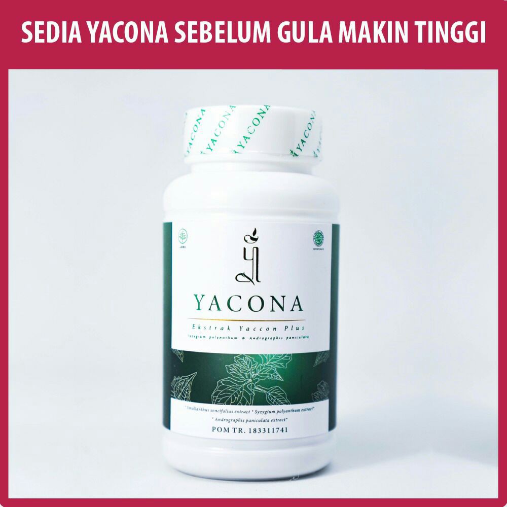 Jual Obat Diabetes Melitus Tipe Antidiabetik Yacona Paling Ampuh