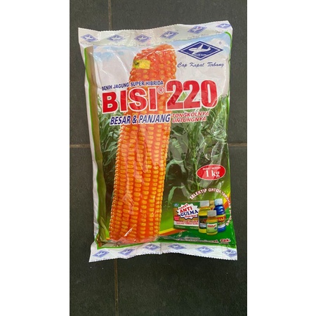 Jual Benih Jagung Hibrida BISI 220 Isi 1kg Dari CAP KAPAL TERBANG