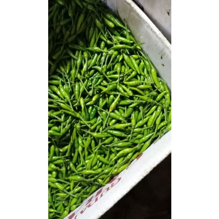 Jual Cabe Rawit Hijau Gram Shopee Indonesia