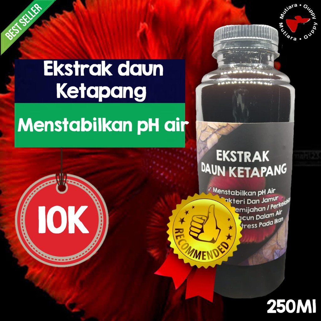 Jual Ekstrak Ketapang 250ml Obat Vitamin Ikan 250 Ml Ektrak Daun