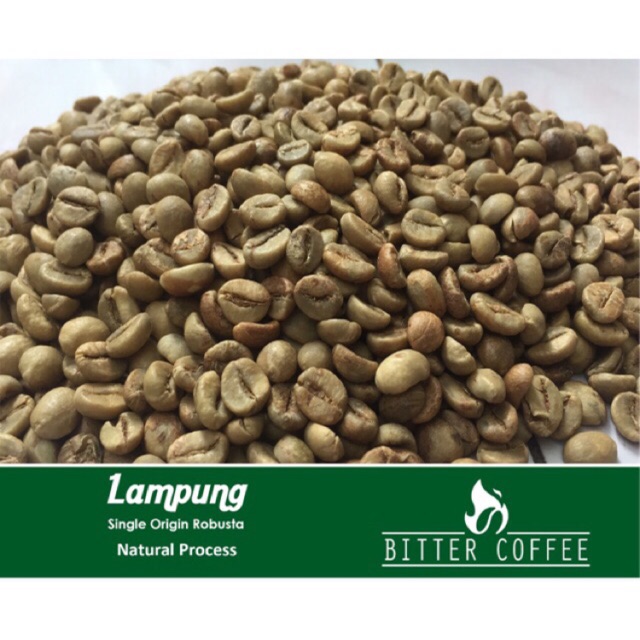 Jual Green Bean Robusta Fine Lampung Natural Shopee Indonesia