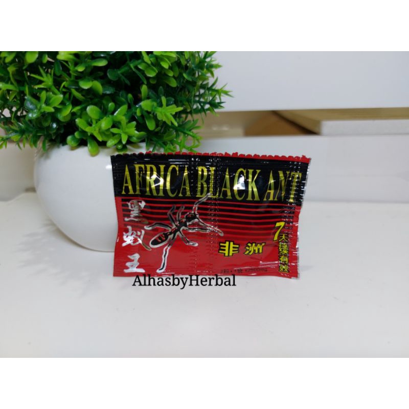 Jual KAPSUL AFRICA BLACK ANT 15 1 Sachet Shopee Indonesia