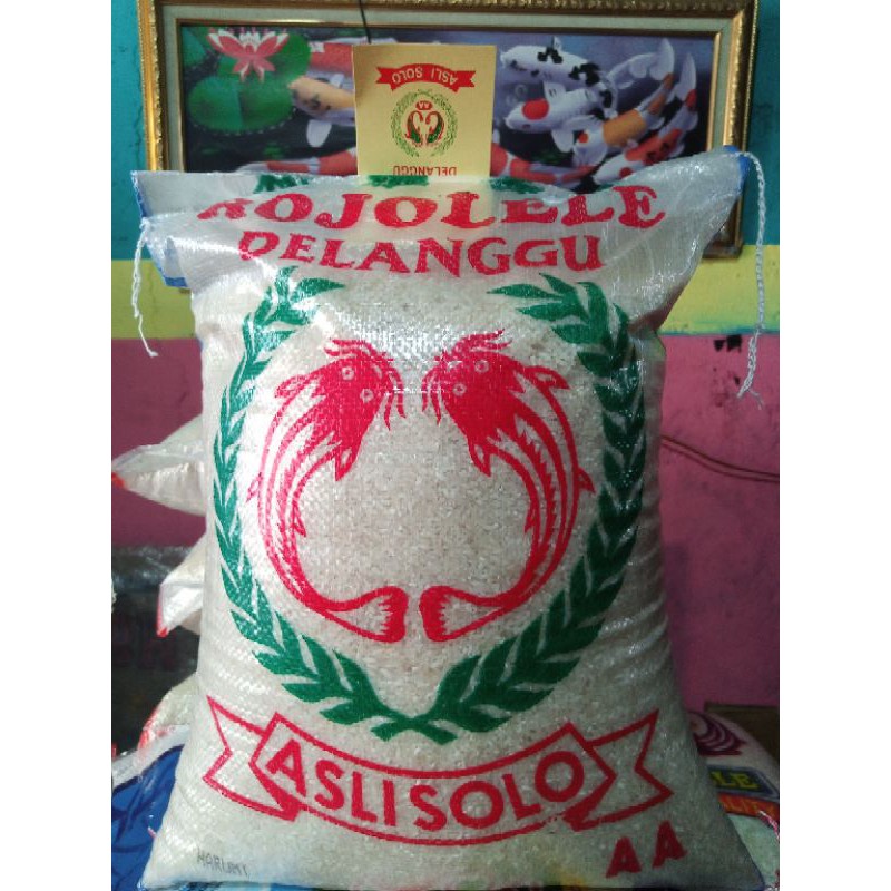 Jual HEMAT Beras Slyp Rojolele Cap Kepala 5KG 10KG Super Murah