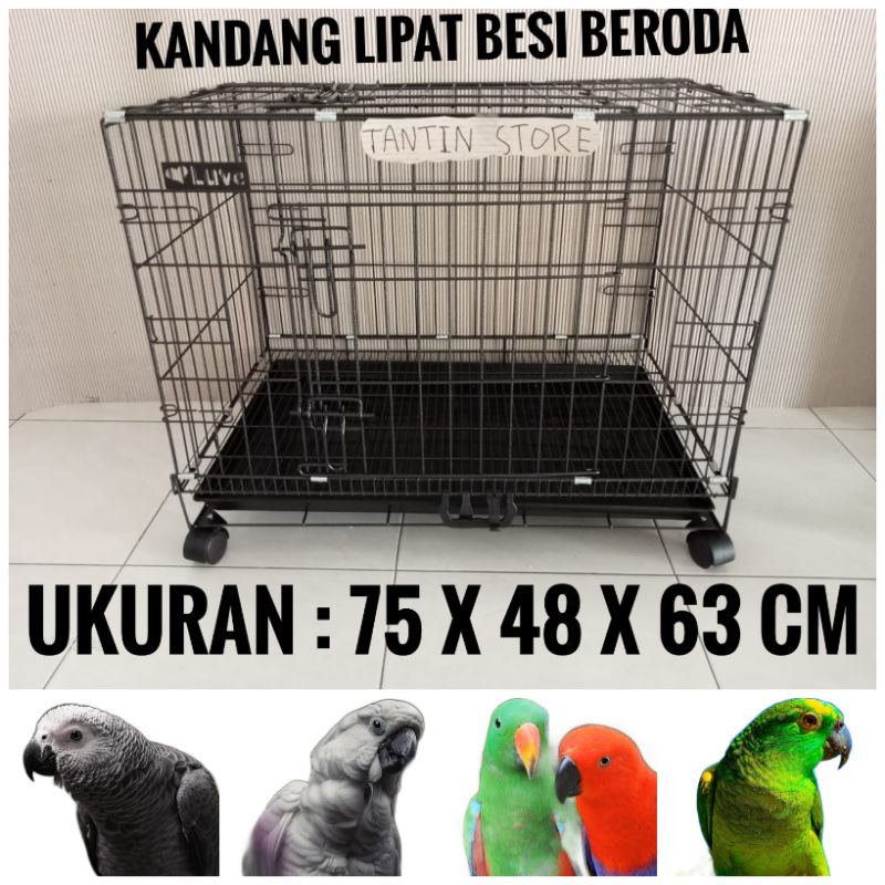 Jual Kandang Burung Parrot Beroda Afgrey Nuri Bayan Kakatua Shopee