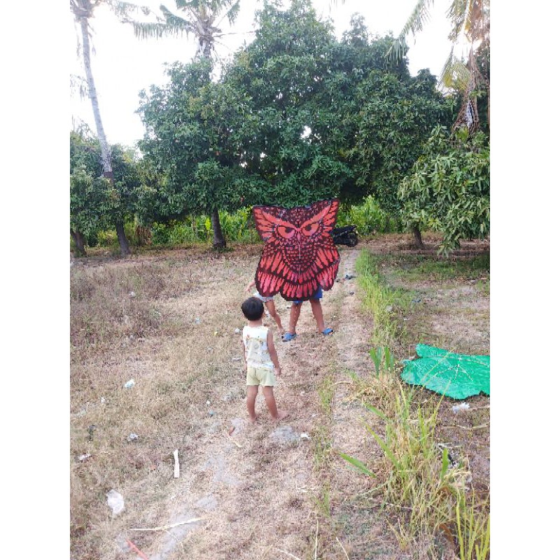 Jual Layangan Celepuk Burung Hantu Plastik Shopee Indonesia