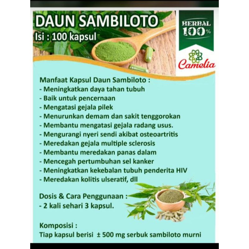 Jual Kapsul Curah Daun Sambiloto Kapsul Min Pc Shopee Indonesia