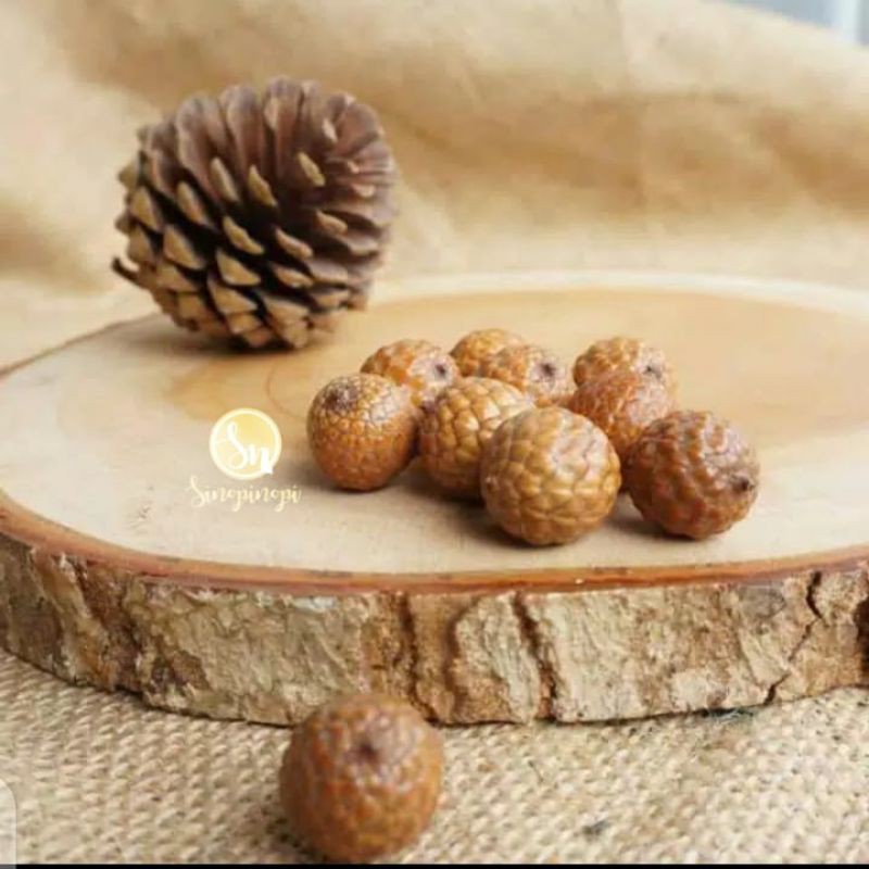 Jual BIJI ROTAN BULAT KERING BAHAN KERAJINAN DRIED FLOWER RUSTIC