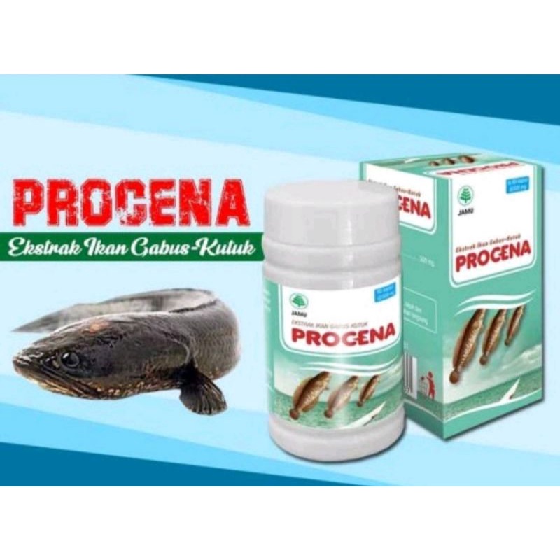 Jual Procena Kapsul Ekstrak Ikan Gabus Kutuk Shopee Indonesia