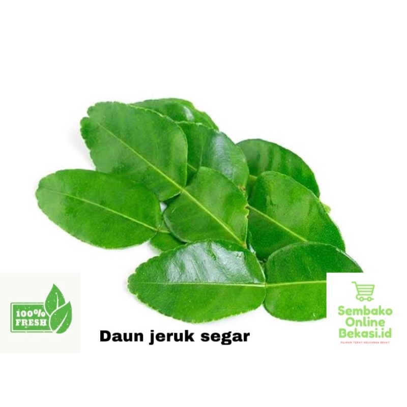 Jual DAUN JERUK SEGAR PER PACK PILIHAN Shopee Indonesia