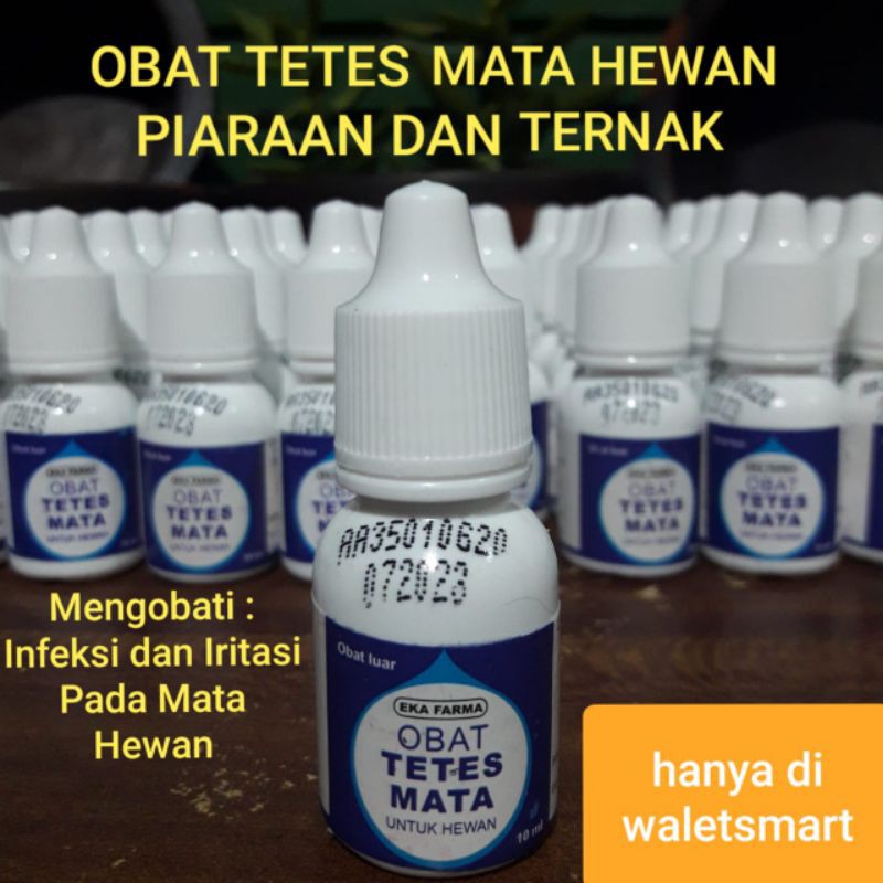 Jual Obat Tetes Mata Hewan Eka Farma Mata Infeksi Iritasi Kelinci