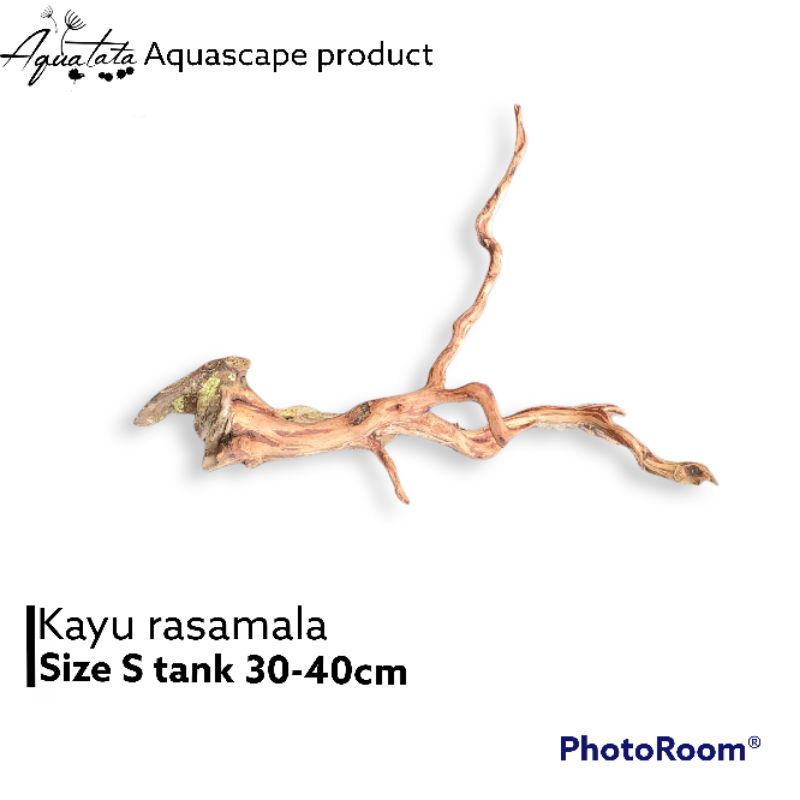 Jual Akar Kayu Aquascape Aquarium Akar Rasamala Kayu Rasamala S