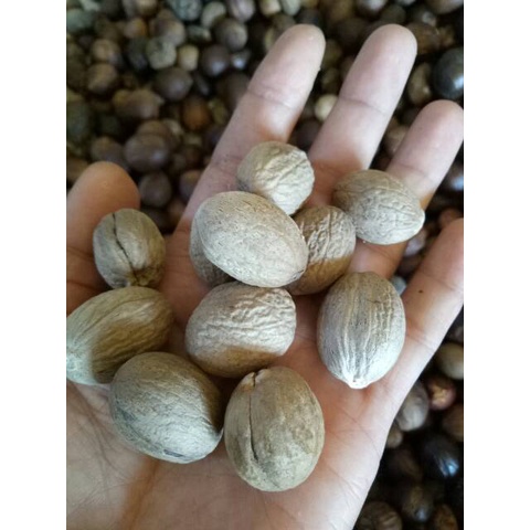 Jual KUKURING Biji Pala Kupas Super Per 500 Gr Shopee Indonesia