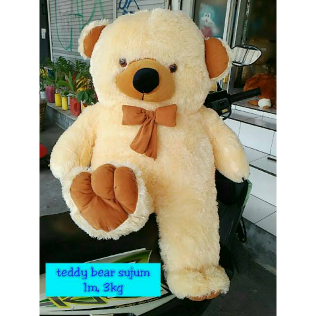 Jual Boneka Teddybear Pita Jumbo 1 Meter Shopee Indonesia