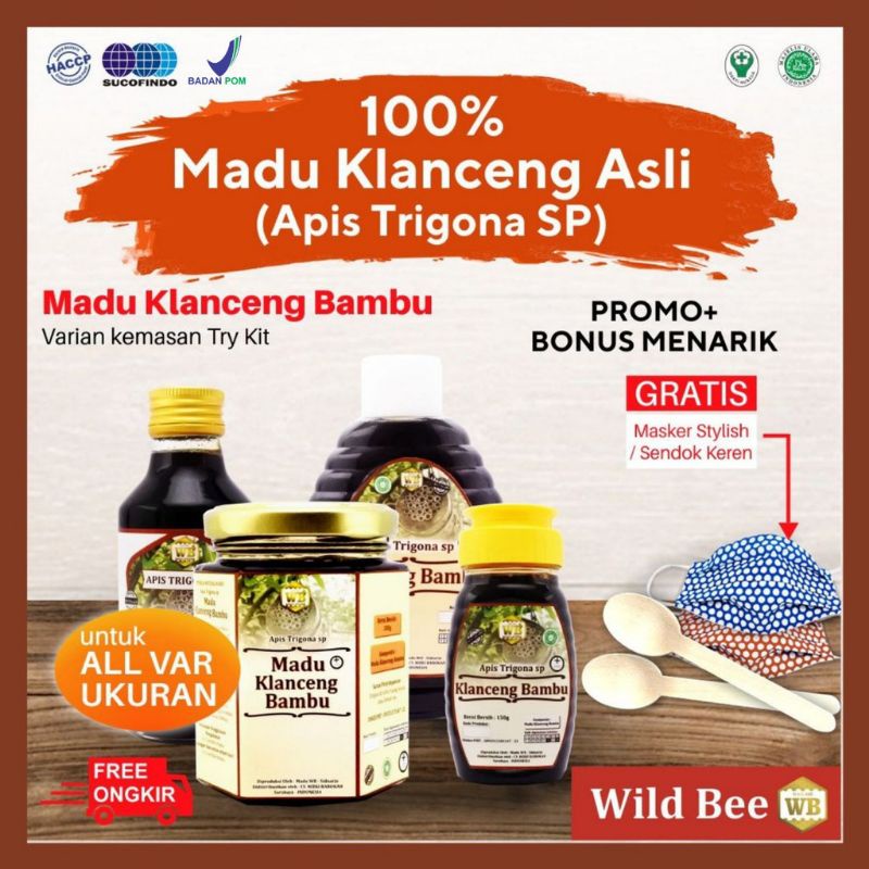 Jual Madu Klanceng Bambu Lebah Apis Trigona Garansi Murni Asli