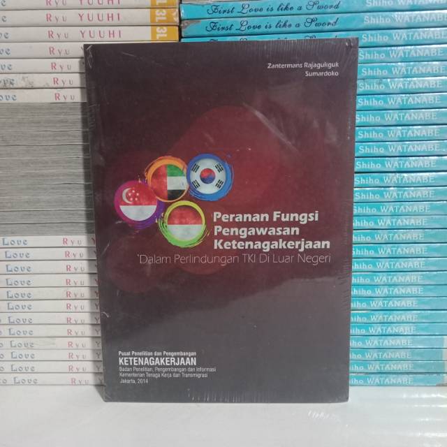 Jual BUKU ORIGINAL PERANAN FUNGSI PENGAWASAN KETENAGAKERJAAN DALAM