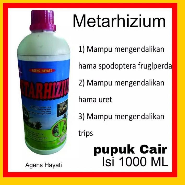 Jual F St Resp N Pupuk Cair Metharizium Spp Metarizep Bio Insektisida