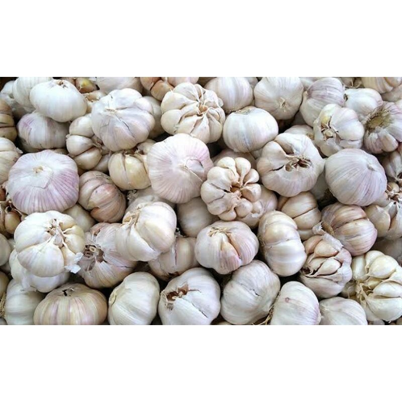 Jual BAWANG PUTIH 1 KG Shopee Indonesia