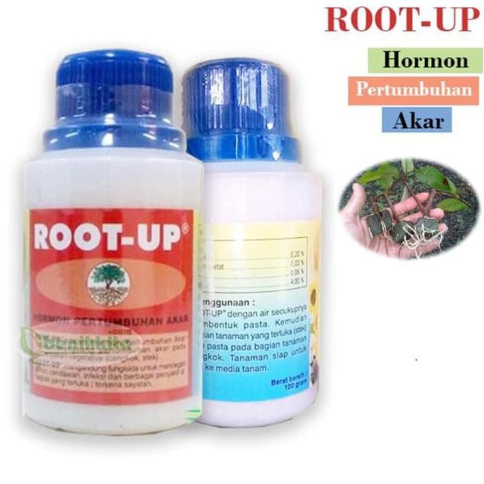 Jual Hormon Root Up Root Up ZPT Hormon Pertumbuhan Akar 100 Gram