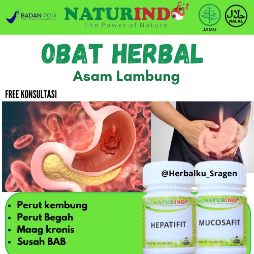 Jual Herbal Asam Lambung Maag Akut Maag Kronis Gerd Obat Asam Lambung