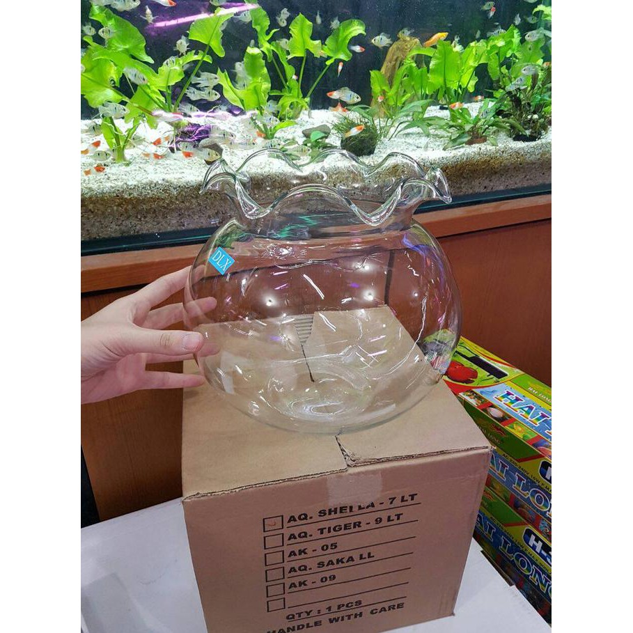 Jual Gojek Aquarium Bulat Liter Toples Shella Fish Bowl