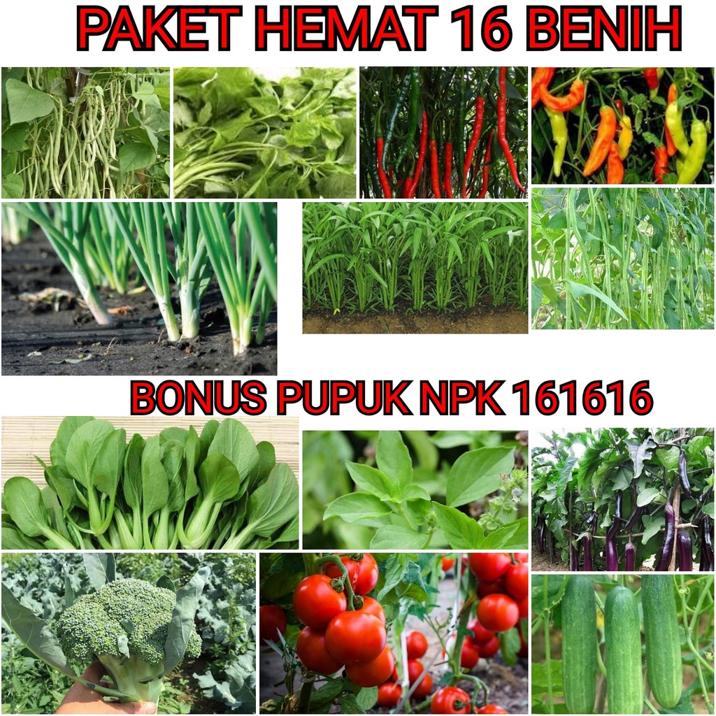 Jual Paket Hemat Benih Bibit Sayur Cabai Tomat Jenis Bonus Npk