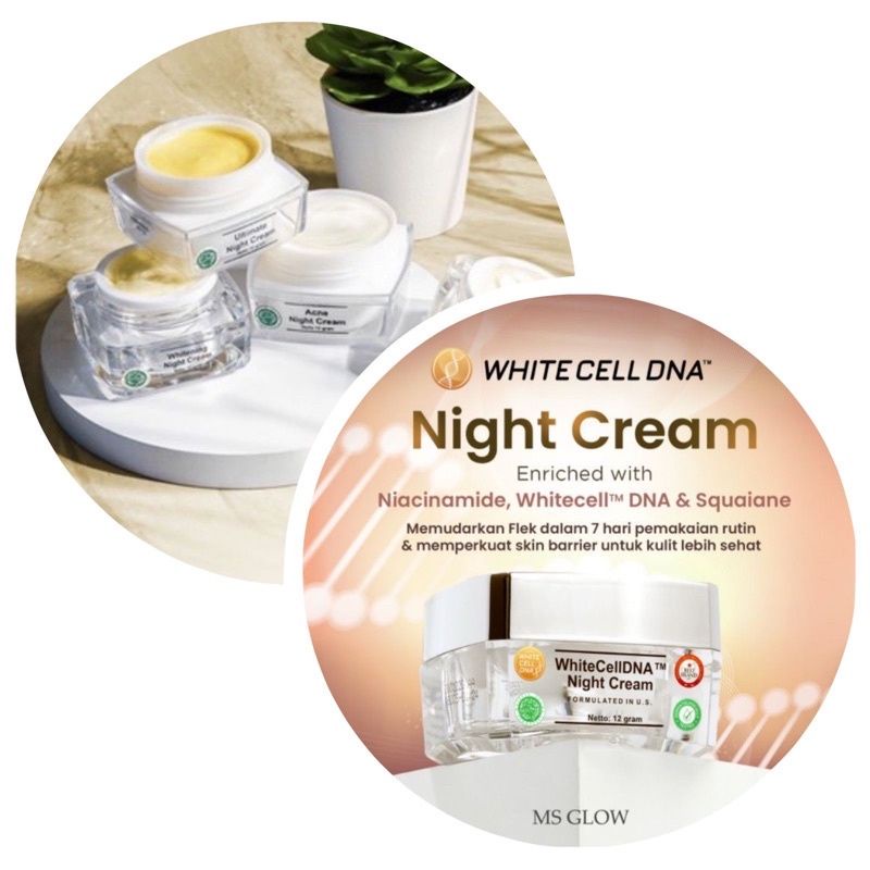 Jual Ms Glow White Cell Dna Night Cream Shopee Indonesia