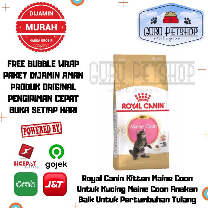 Jual Royal Canin Kitten Maine Coon Kg Freshpack Makanan Kucing