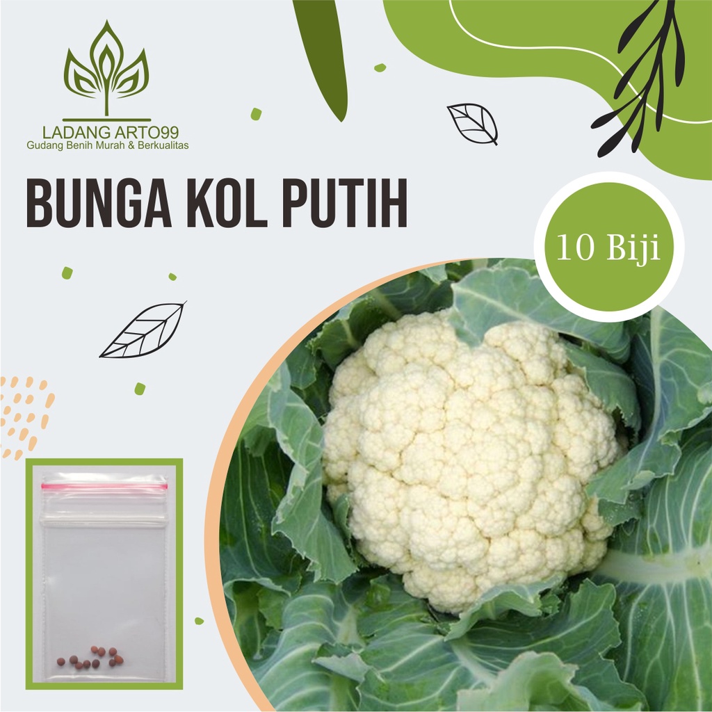 Jual Benih Sayur Bunga Kol Putih Bibit Bung Kol Putih F Hibrida Benih