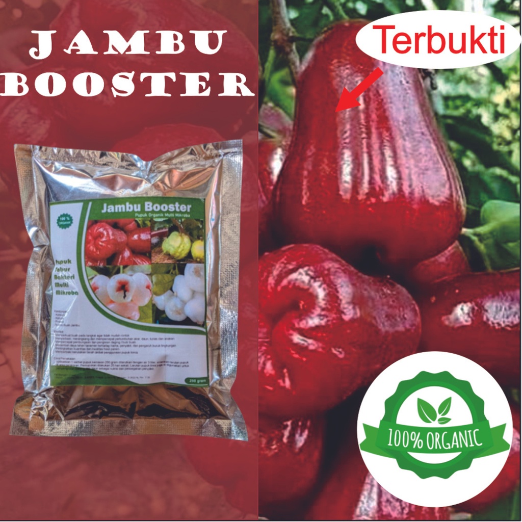 Jual PUPUK BOOSTER JAMBU PUPUK JAMBU PERANGSANG BUAH Shopee