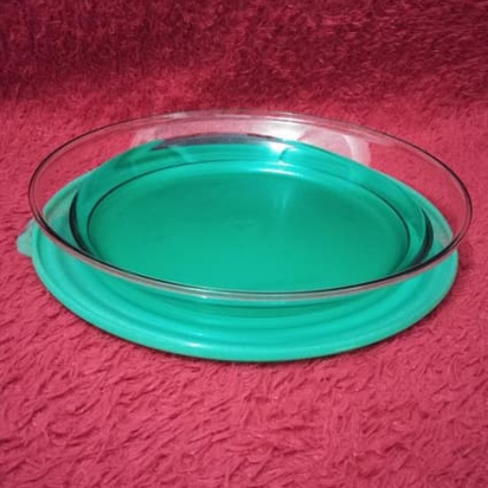 Jual Tupperware Promo Sale Eleganzia Platter L Plate Green Hijau