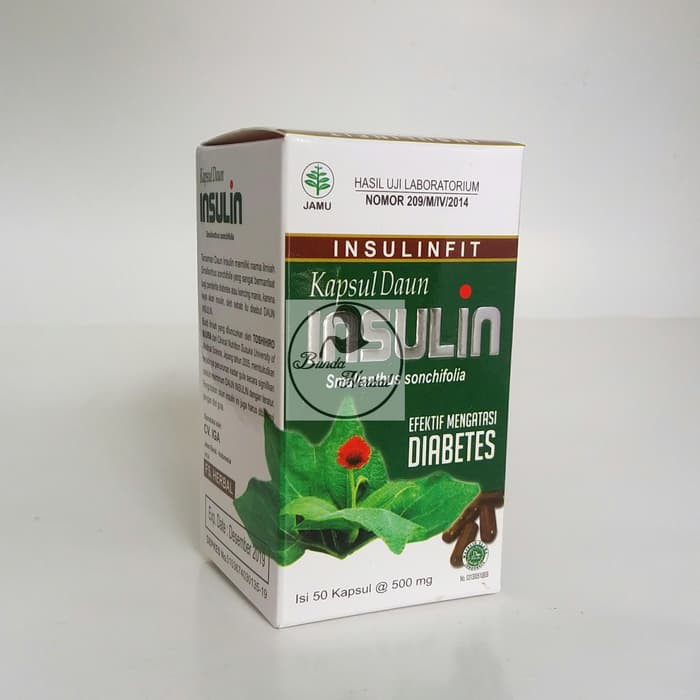 Jual Insulinfit Kapsul Daun Insulin Inayah Efektif Mengatasi Diabetes