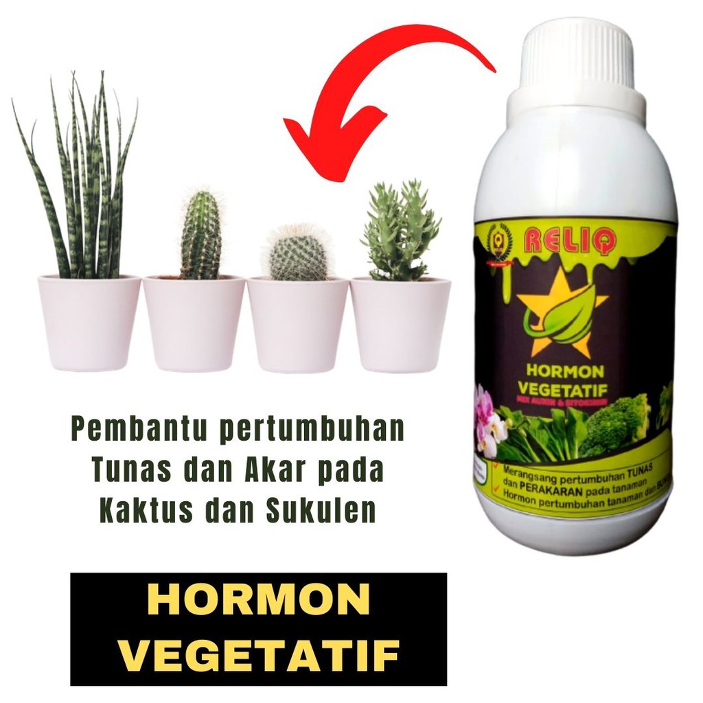 Jual Pupuk Hormon Vegetatif 250 Ml Pupuk Pemicu Pertumbuhan Akar Dan