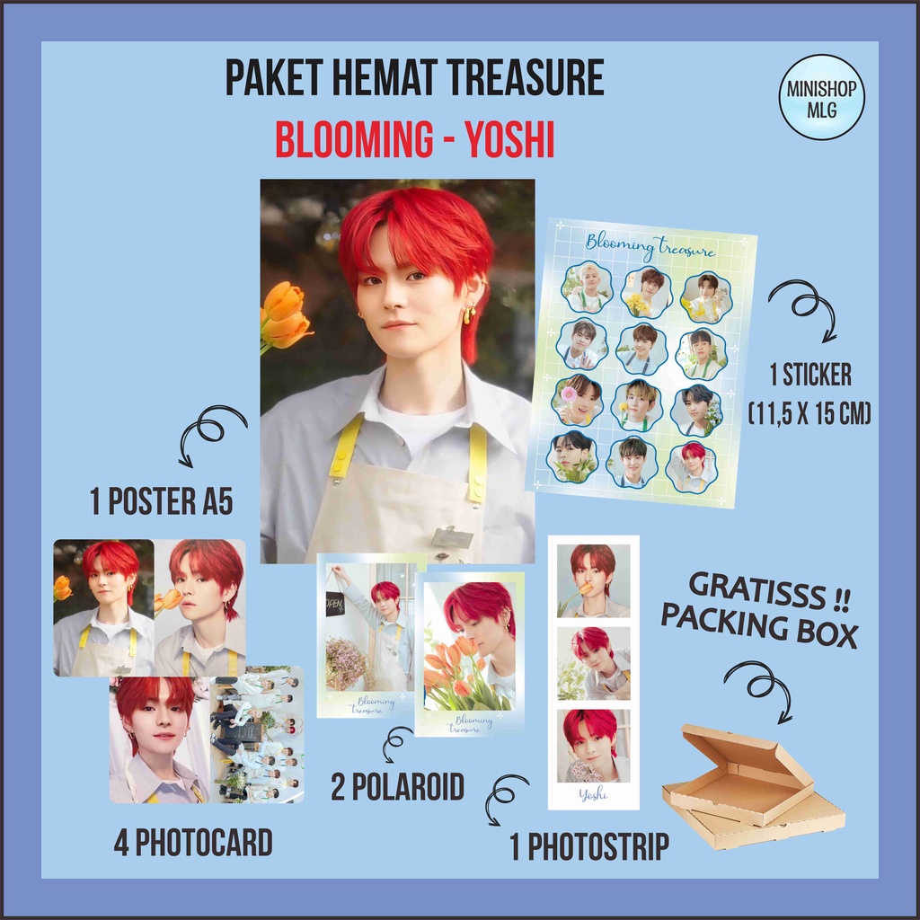 Jual Freebox Paket Hemat Treasure Blooming Fankit Treasure Blooming