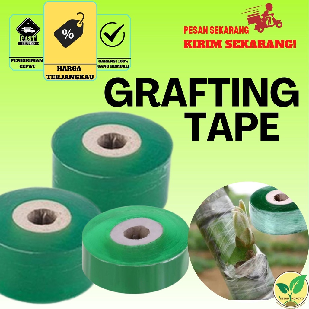 Jual Grafting Tape Cm Cm Cm Plastik Okulasi Sambung Pucuk