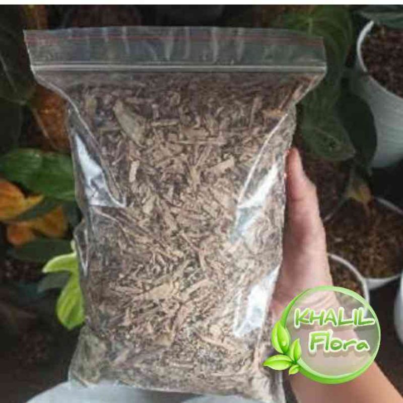 Jual Media Tanam Humus Daun Bambu Kering Per Kantong Shopee Indonesia