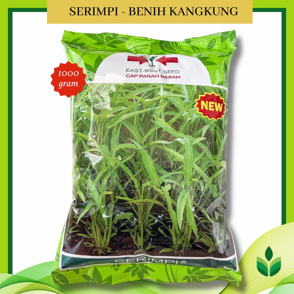 Jual Benih Bibit Kangkung Serimpi 1kg Cap Panah Merah Shopee Indonesia