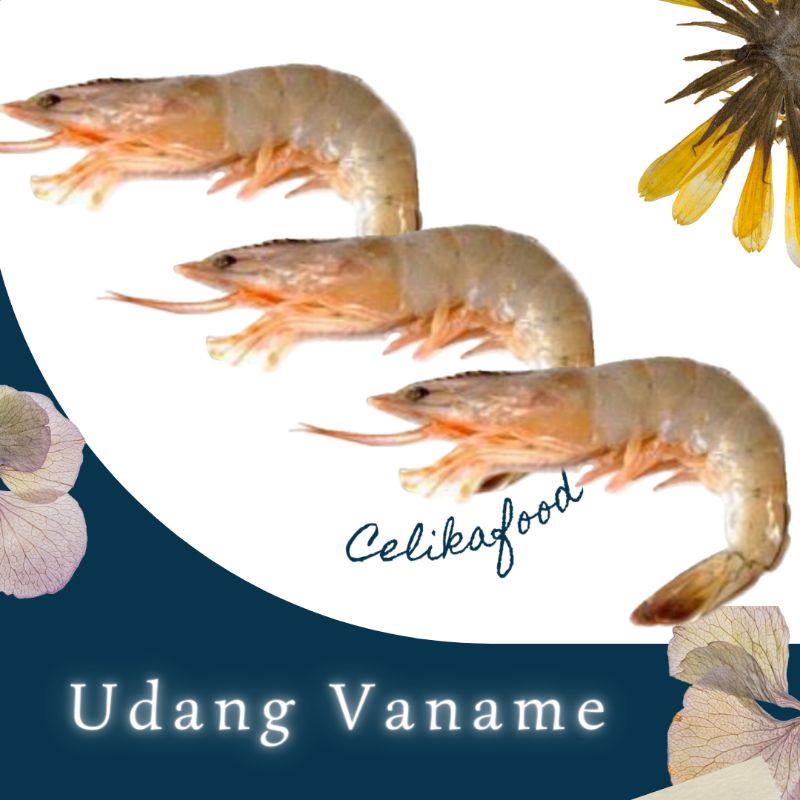 Jual Udang Vaname 250gr Putih Raja Shrimp Seafood Prawn Fresh Pasar