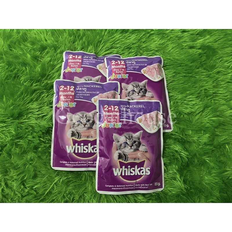 Jual Whiskas Junior Mackerel Pouch 85 Gr Wet Food Makanan Basah Kucing