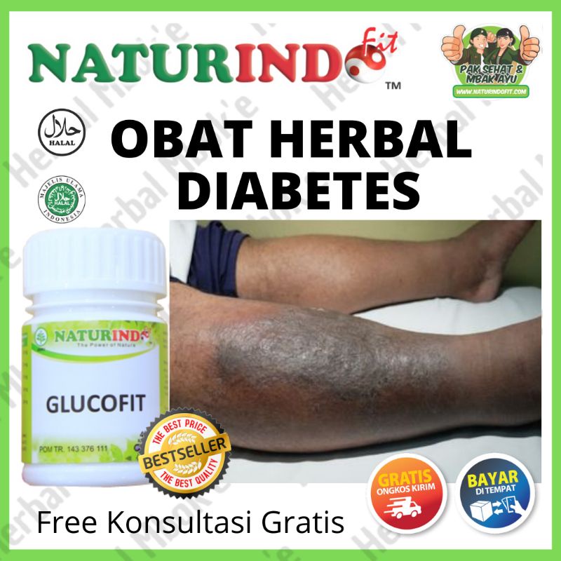 Jual Obat Herbal Diabetes Gula Darah Tinggi Diabet Insulin Ampuh Manjur