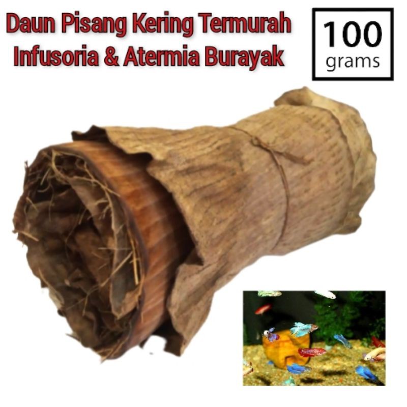 Jual Gram Daun Pisang Kering Infusoria Artemia Pakan Burayak