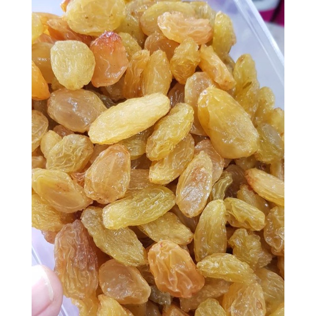 Jual Kismis Jumbo Kuning Big Long Golden Raisin Premium Kg Shopee