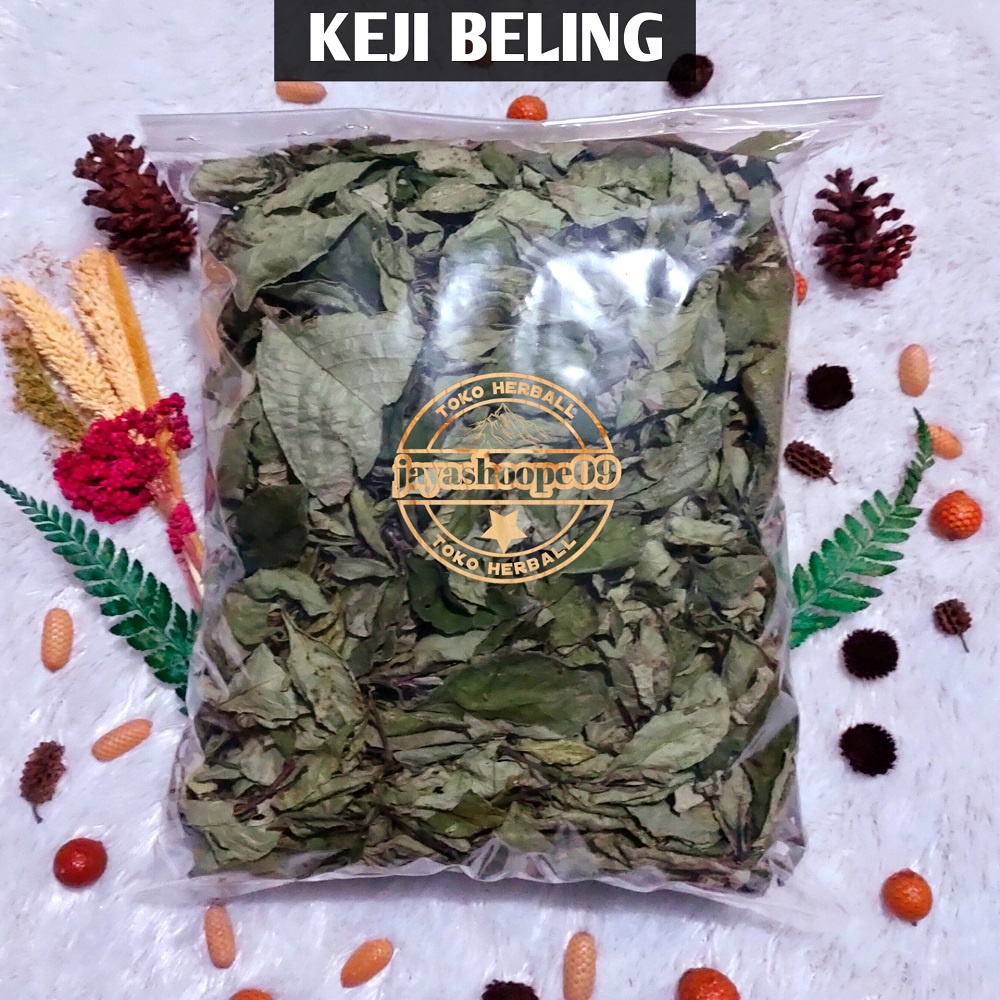 Jual Daun Keji Beling Kering 500 Gram Daun Pecah Beling Herbal Batu