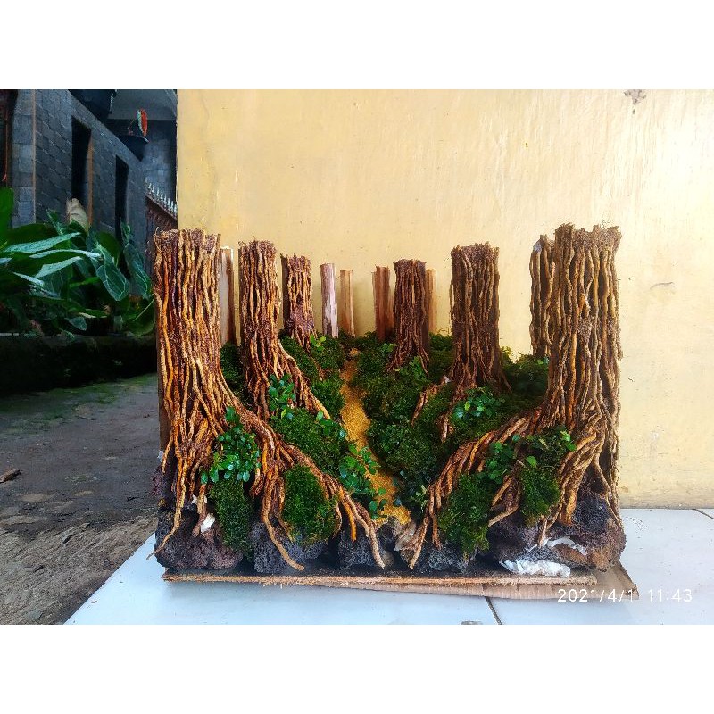 Jual Hardscape Jungle Aquascape Cm Shopee Indonesia