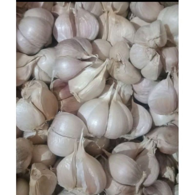 Jual Bawang Putih Kating Bersih 500 Gr Shopee Indonesia